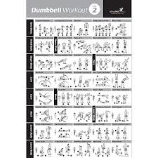 dumbbell exercise poster vol 2 laminated workout strength training chart build muscle tone tighten home gym weight lifting routine body