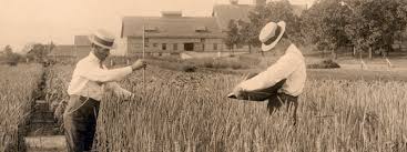 1800S Farmer Hi-Res Stock Photography And Images - Alamy