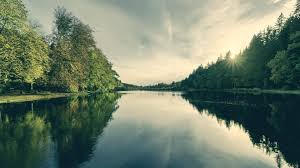 Home > nature wallpapers > page 1. Pure Nature Hd Wallpaper Hintergrund 1920x1080 Wallpaper Abyss