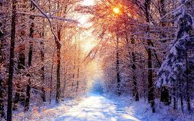 We did not find results for: Winter Wallpaper Winter Trees Beautiful Winter Scenes Winter Facebook Covers Winter Wallpaper