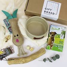 Bullterrier puppy in christmas gift box. Eco Friendly Gift Set Gift Box For Your Pet The One For The Eco Concious Dog 2 All Green