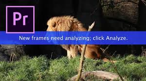 Penjelasan dilengkapi dengan gambat yang memudahkan pembaca untuk memahami isi artikel. New Frames Need Analyzing Message In Premiere Pro How To Fix Video