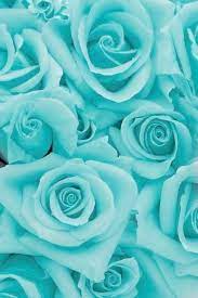 50 terpopuler cat rumah kayu warna hijau tosca ide 49 warna cat dulux tosca konsep warna cat rumah minimalis hijau tosca unt in 2020 home decor outdoor decor decor. 49 Ide Tosca Hijau Hijau Mint Wallpaper Bunga Iphone