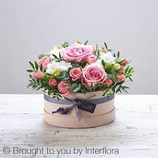 Pink Surprise Mary S Florist Halifax