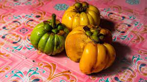Asam keping/gelugur are sliced and dried fruit used as a cooking condiment in malaysian cuisine. Garcinia Atroviridis Known As Asam Gelugur Or Asam Keping On A Pink Background Stock Photo Image Of Malaysia Cook 171569568
