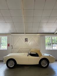 Image result for Live Oak 1970 AC Cars