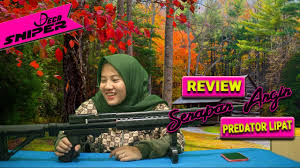 Bahkan bisa dibilang paling tinggi di kelasnya. Nih Senapan Angin Pcp Paling Ringan Dan Paling Laris Predator Popor Lipat Untuk Berburu Hama Youtube