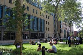 King S College London Organisational Structure