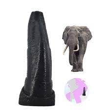 Elephant cock