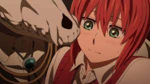 Pin By Kailena Madillio On Mahoutsukai No Yome Ancient Magus Bride Anime Anime Characters