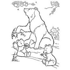 Select from 35987 printable coloring pages of cartoons, animals, nature, bible and many more. Top 25 Free Printable Wild Animals Coloring Pages Online Bear Coloring Pages Animal Coloring Pages Polar Bear Coloring Page