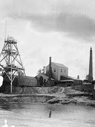 Negative Bendigo Victoria 1890 Australia History Bendigo Australian Continent