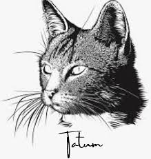 Check spelling or type a new query. Our Team In Coeur D Alene Id Lake City Pet Hospital