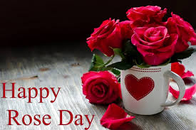 During valentine week every couples seem to be busy preparing something special and making the week a special one. Happy Rose Day Quotes Wishes And Greetings Sms Messages