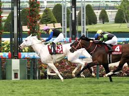 Manage your video collection and share your thoughts. Xol57asxiqs M