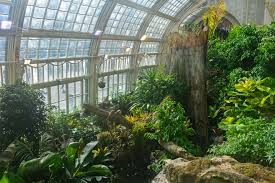 Click around to join me in learning how to build, decorate and (sometimes!) destroy your way to a beautiful house. The Imperial Butterfly House Vienna Where Do We Travel Now