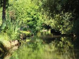 The Floating Gardens Review Of Les Hortillonnages D Amiens Amiens France Tripadvisor