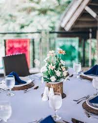 フィリピン ボホール島のおすすめ ボホール島 で検索すると チョコレートヒルズやターシャが やっぱりトップに出てくる チョコレートヒルズ 世界遺産にも提案されたチョコレートヒルズ あの異世界空間 不思議 table decorations