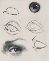 How To Draw Eyes Portrait Drawing Eye Drawing Human Anatomy Drawing