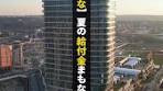 2025年の給付金と定額減税についての解説