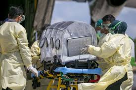 Virus ini pertama kali dideteksi pada oktober 2020 dan sebelumnya. Menyebar Lebih Cepat Berikut Gejala Virus Corona B117 Yang Wajib Anda Ketahui Bocimi Update