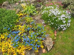 Using landscaping rocks is a valuable addition to the outdoor area of any house. 25 Beautiful Landscaping Rocks Ideas