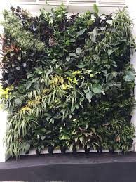 Atmosphy Green Wall Greenwall Verticalgarden Gardendesign Www Atmosphy Com Au Greenwall Verticalgarden Atmosphy Vertical Garden Garden Wall Garden Design