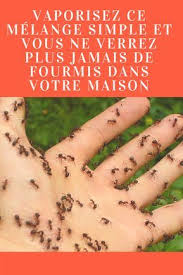 Epingle Sur Truc
