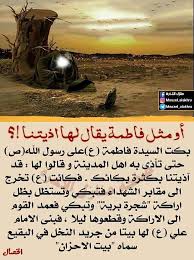 pin by muntadher alameedi on علي صراط الله mixed feelings quotes ali quotes proverbs quotes