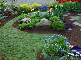 17 impressive curb appeal ideas (cheap and easy!) to cover it select ship in amazon box on the checkout page. Google Image Result For Http Landscaperorangecounty Com Images Elfin 20thyme Lawn Alternatives Yard Landscaping Ground Cover Plants
