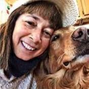 Search Brenda Pollock Obituaries and Funeral Services