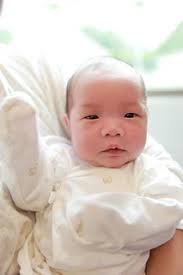 Lisa's Gallery for Beautiful Moment