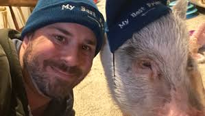 Fundraiser by Nathaniel Joslin : Daisy the wonder pig needs surgery