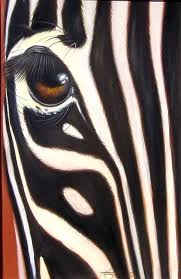 Before you can learn how to actually buy shares in south africa, it is wise to buildup your stock dealing knowledge before taking the plunge. Freddie Skinner Galleries Investment Art For Your Home And Office