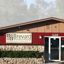 Some of the more popular pet friendly hotels near cocoa beach wellness center include Brevard Veterinary Hospital Veterinarians 329 N Cocoa Blvd Cocoa Fl Phone Number