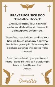 We did not find results for: 15 Powerful Prayers For Sick Dog Connectus