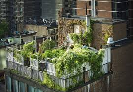 En Images Tour D Horizon Des Plus Beaux Toits Vegetalises Jardins Sur Les Toits Terrasse Toit Terrasse Vegetalisee