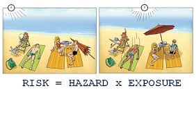 Toxicology Education Foundation Hazard Vs Risk