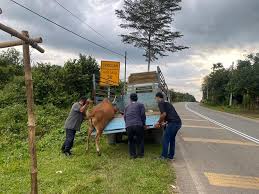 Untuk memohon sila ikut langkah seperti di bawah. ð—¢ð—½ð˜€ ð—Ÿð—²ð—ºð—¯ð˜‚ ð—¥ð—®ð˜†ð—®ð˜‚ Bagi Pemilik Majlis Daerah Padang Terap Facebook