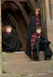 Wouldn't say that knowing the name of the ball they hold in one small section of the movie is basic but good. Which Harry Potter Film Best Describes You Take This Quiz To Find Out I Got Hp The Deathly In 2020 Harry Potter Film Hogwarts Harry Potter Bildschirmhintergrund