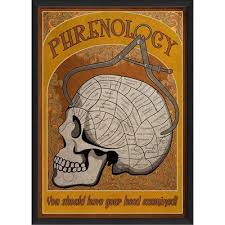 Phrenology Poster Framed Vintage Advertisement The Artwork