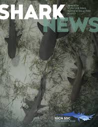Unique sharks posters designed and sold by artists. Shark News Iucn Ssc Shark Specialist Group