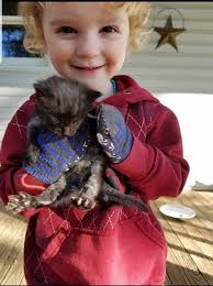 Jeff the cat, provider of love, laughs, and teacher of empathy.