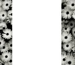 Cara membuat foto hitam putih yang pertama adalah, kamu hanya perlu terhubung dengan internet, dan dijamin kamu akan bisa edit foto hitam putih dengan sangat sempurna dan tidak membutuhkan waktu yang lama. Montase Foto No Crop Tumblr Black An White Pixiz