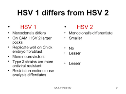 Herpes is caused by the herpes simplex virus (hsv). Herpes Simplex I And Ii