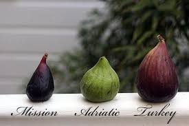Everything You Need To Know About Figs Fig Varieties Fig Fruit Fig Recipes
