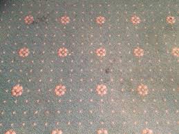 Kostenloser newsletter von frag mutti. Schimmel Und Dreck Im Bad Rote Flecken Auf Der Sitzflache Des Sessels Der Gesamte Teppich Picture Of Hotel Uckermark Prenzlau Tripadvisor