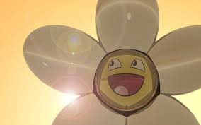 Check spelling or type a new query. Good To See You Flower Awesome Nature Rainbow Smile Hd Wallpaper Peakpx