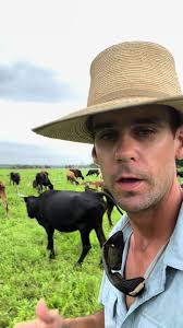 Full Rumen in the Evening for Nutritionally Adapted Cattle