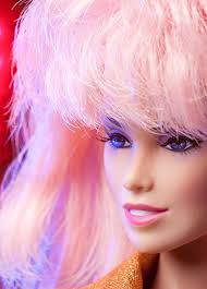 series — The Fashion Doll Chronicles — Fashion Doll Chronicles